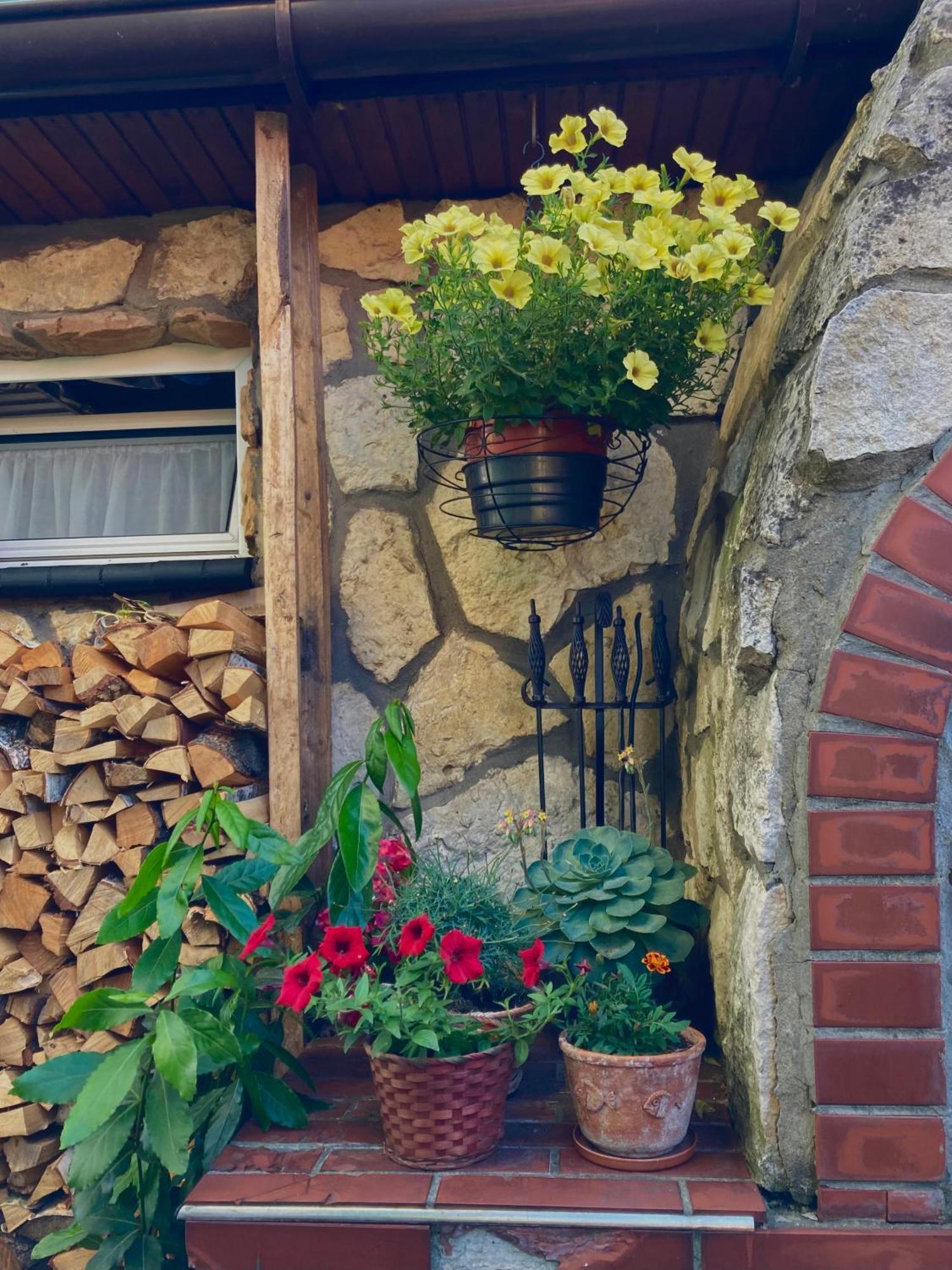 Studio Roxi Bachowice Exterior photo
